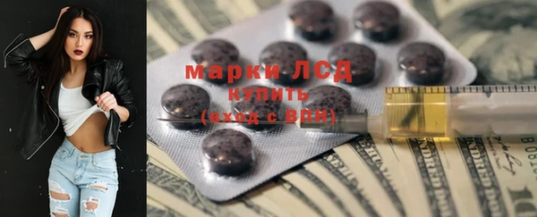эйфоретик Алзамай