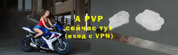 гидра Абаза