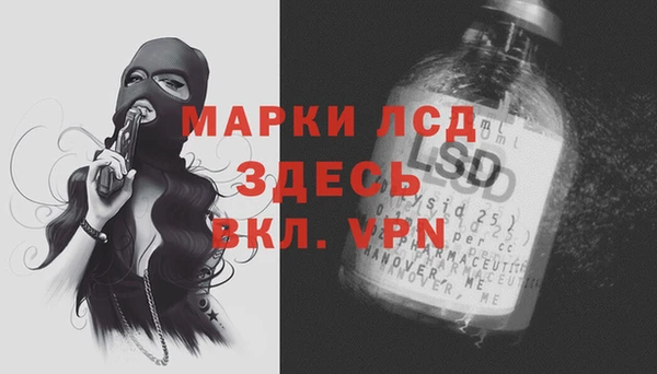 эйфоретик Алзамай