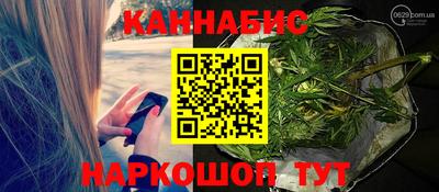крисы Кизилюрт