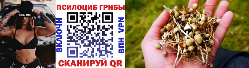 Псилоцибиновые грибы GOLDEN TEACHER  Заринск 