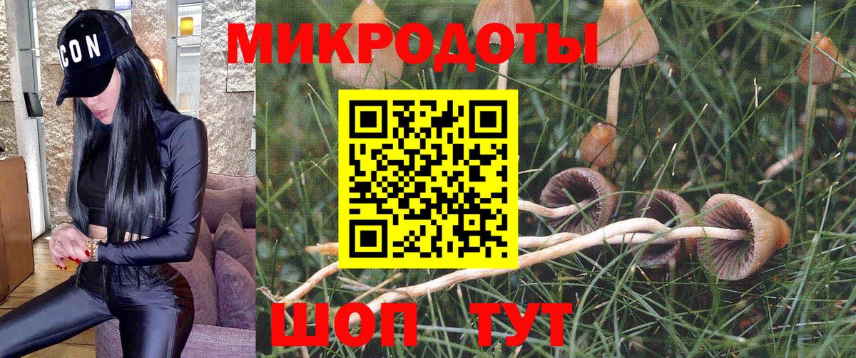 Псилоцибиновые грибы MAGIC MUSHROOMS  что такое   Псилоцибиновые грибы ЛСД  Заринск  Вход с VPN 